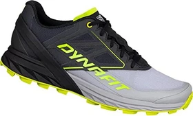 Dynafit Alpine alloy/black out (Herren)