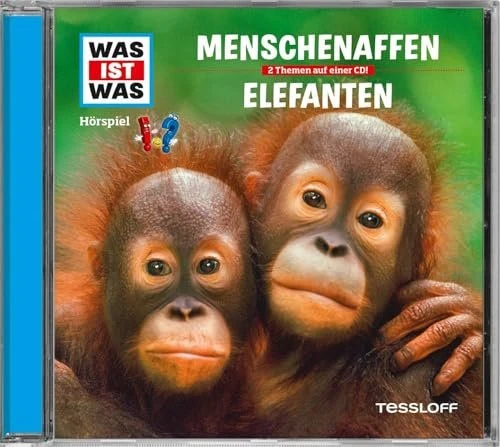 Madonnen (DVD)