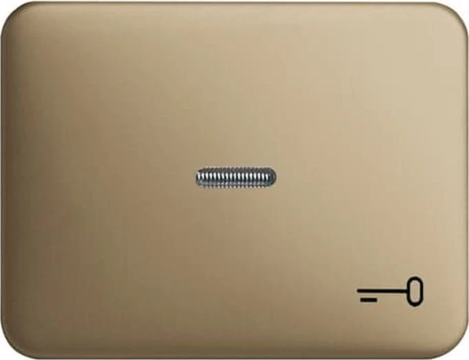 Busch-Jaeger Alpha Wippe mit Aufdruck mit kleiner transparenter Kalotte, bronze