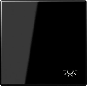 Jung Serie LS Wippe Symbol Licht, schwarz