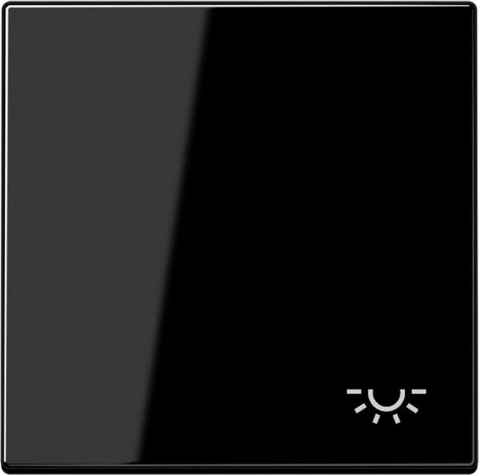Jung Serie LS Wippe Symbol Licht, schwarz