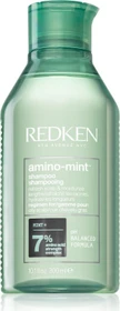Redken Amino Mint Shampoo, 300ml