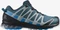 Salomon XA Pro 3D V8 GTX (Herren) Vorschaubild
