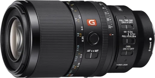 Sony FE 100mm 2.8 Makro GM OSS