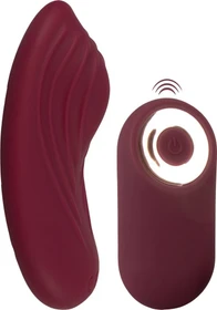 You2Toys Panty Vibe RC recharge