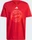 adidas FC Bayern München DNA Graphic Shirt kurzarm (Herren) (IS6509)