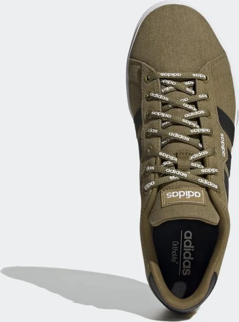 adidas Daily 3.0 wild moss/core black/cloud white (Herren)