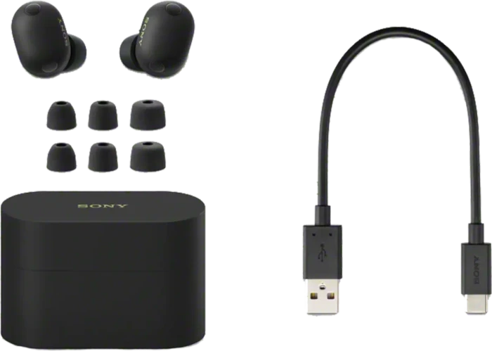Sony WF-1000XM6 gojischwarz