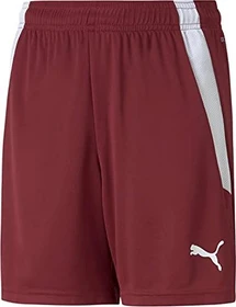 Puma TeamLIGA Shorts Trainingshose kurz cordovan/puma white (Junior)
