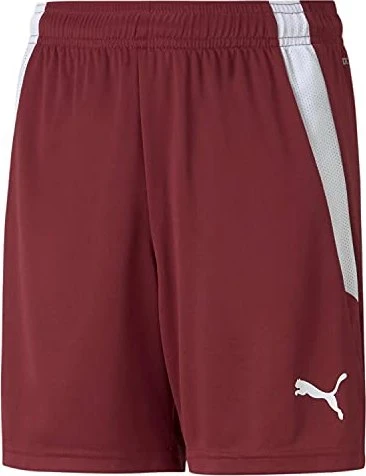 Puma TeamLIGA Shorts Trainingshose kurz cordovan/puma white (Junior)