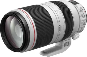 Canon EF 100-400mm 4.5-5.6 L IS II USM