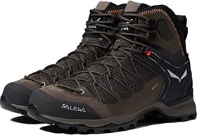 Salewa Mountain Trainer Lite Mid GTX bungee cord/black (Herren)