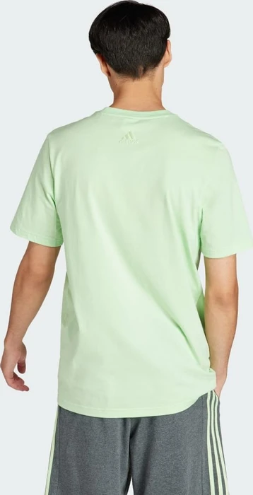 adidas Essentials Single Jersey Big Logo T-Shirt kurzarm semi green spark (Herren)