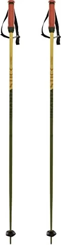 Völkl Phantastick 16mm Alpin Skistock grün (Modell 2021/2022)