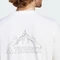 adidas Terrex Graphic T-Shirt kurzarm weiß (Herren) Vorschaubild