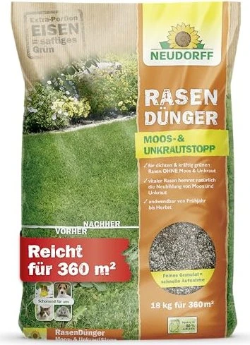 kugeldistel düngen Kugeldistel - Echinops