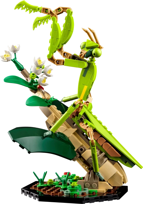 LEGO Ideas - Die Insektensammlung