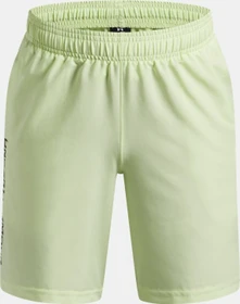 Under Armour Tech Woven Wordmark Hose kurz fade green/black (Junior)