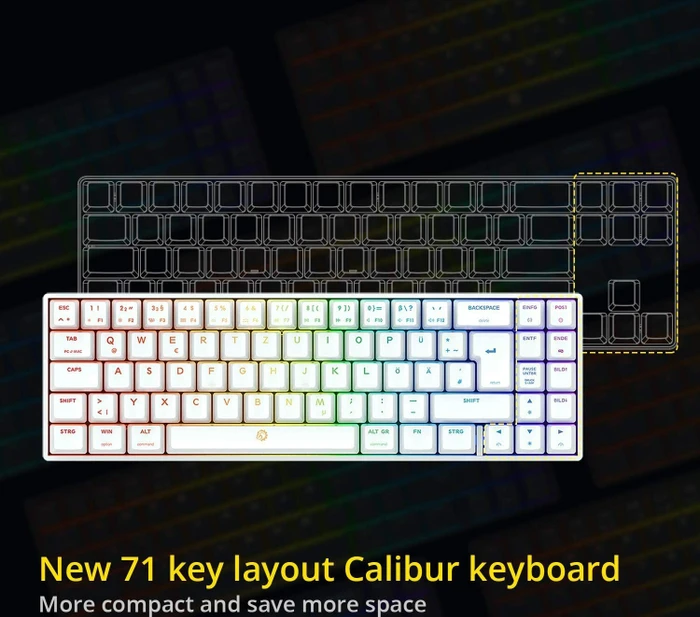 Drevo Calibur V2 TE PC/Mac, LEDs RGB, weiß, MX RGB RED, USB, DE