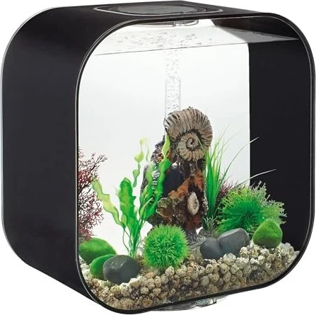 Oase biOrb Life 30 MCR Aquarium schwarz