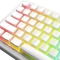 Glorious Aura V3 Keycaps, Kunststoff (PBT) Double-Shot, weiß/transparent, 130 Tasten, ANSI-US Vorschaubild