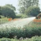 Gardena Profi-System Spritz-Brause Vorschaubild