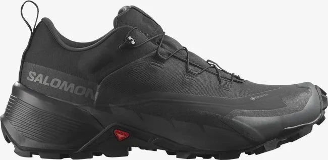 Salomon Cross Hike 2 GTX black/magnet (Herren)