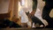 11-11: Memories Retold (Download) (PC) Vorschaubild