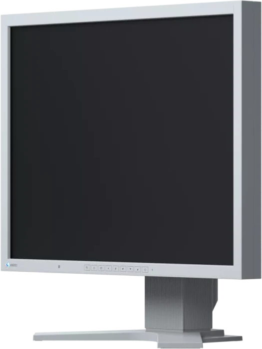 Eizo FlexScan S2133, grau, 21.3"