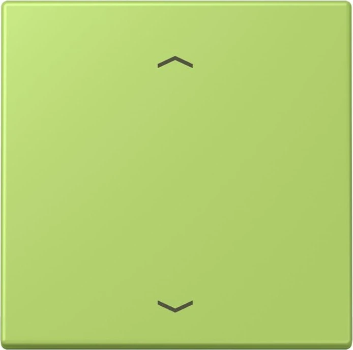 Jung Wippe 1-fach, vert clair