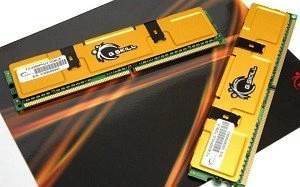 G.Skill Value UDIMM 2GB Kit, DDR2-533, CL4