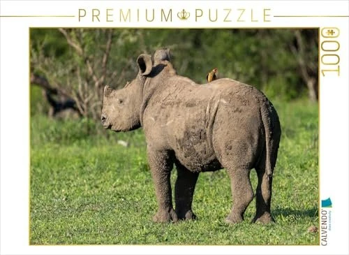 Calvendo Kleines Breitmaulnashorn mit Madenhacker in Südafrika