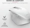 Trust Ozaa Rechargeable Wireless Mouse weiß, USB Vorschaubild