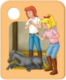 Galakto Bibi und Tina - Das Fohlen