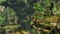 Uncharted: Golden Abyss (PSVita) Vorschaubild