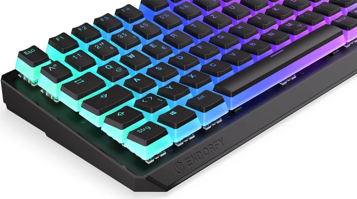 Endorfy Thock 75% Wireless Pudding, PBT, LEDs RGB, hot-swap, Kailh Box BLACK, USB/Bluetooth, DE