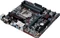 ASUS Prime B250M-Plus (Intel 1151) Vorschaubild