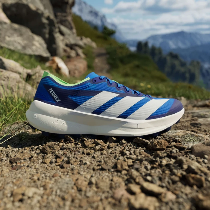 adidas Terrex Agravic Speed 2 blue/dash grey/lime burst (Herren)