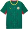 Puma FIFA WM 2026 Senegal Auswärtstrikot kurzarm wild green/puma red (Herren) Vorschaubild