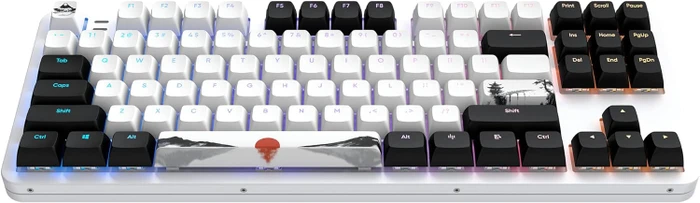 Dark Project ALU87 Fuji II Gaming Keyboard, weiß/schwarz, LEDs RGB, g3ms Sapphire, USB, US