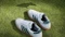 adidas Samba Spikeless Golf cloud white/collegiate green/gum Vorschaubild