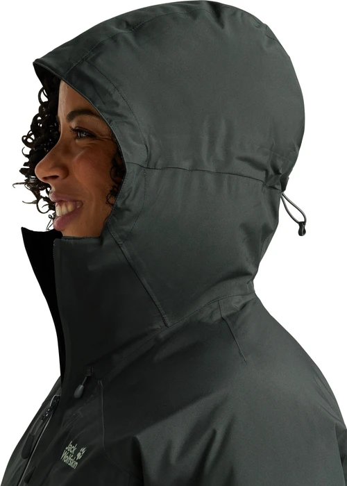 Jack Wolfskin Icecape 2L Down Funktionsjacke slate green (Damen)