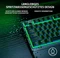 Razer Ornata V3 X, 1 RGB Zone, USB, FR Vorschaubild