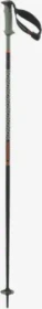 Salomon Polar Pro S3 Alpin Skistock oil green (Modell 2024/2025)