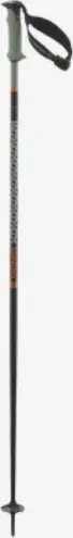 Salomon Polar Pro S3 Alpin Skistock oil green (Modell 2024/2025)