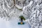 Exped Dura 5R M Isomatte cypress Vorschaubild