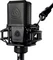Lewitt LCT 440 Pure Stereo-Paar Vorschaubild