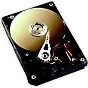 Fujitsu 500GB S26361-F3218-L500, 3.5"