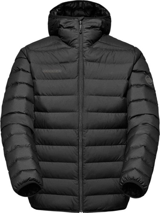 Mammut Waymarker IN Hooded Jacke (Herren)
