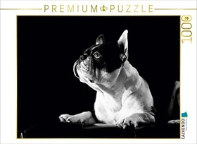 Calvendo Juno - Französische Bulldogge, 4 Jahre